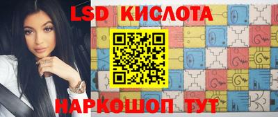 гашик Сланцы