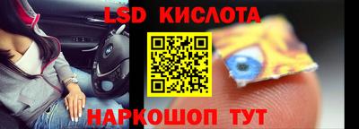 прущие грибы Славгород