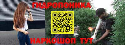 прущие грибы Славгород
